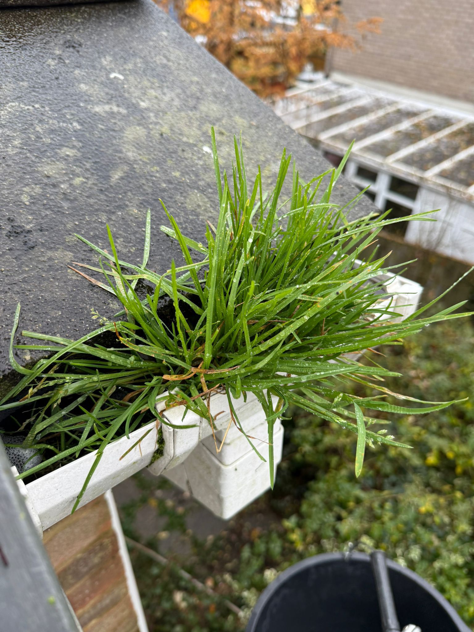 Blocked gutter downpipe  - Tongham Gutter Clearance is the solution!