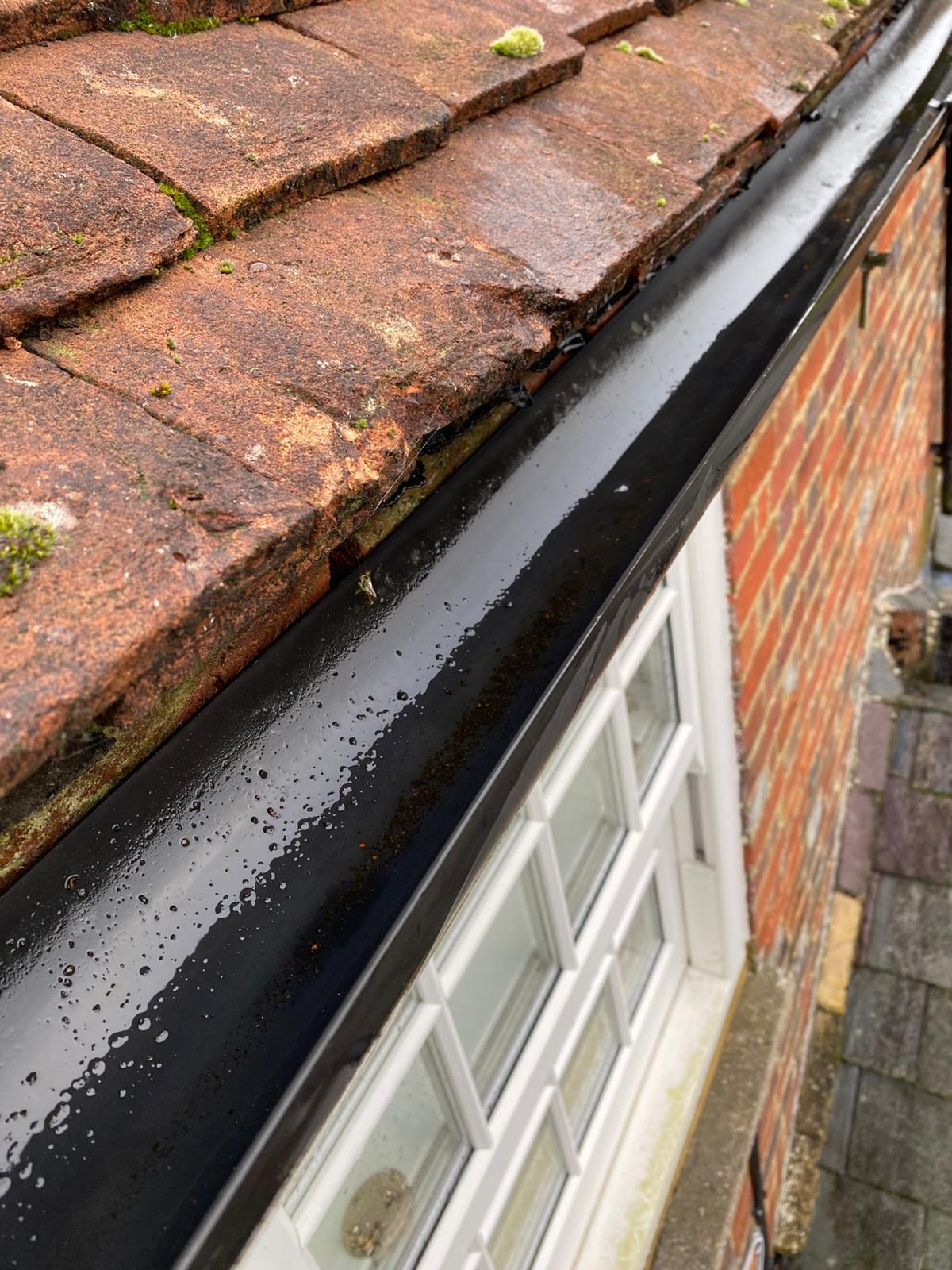 gutter cleared  - Tongham Gutter Clearance is the solution!